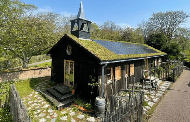 Dachvergrüner Online