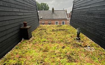 Dachbegrünung in Utrecht