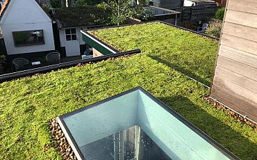 Projekt in Alphen am Rhein