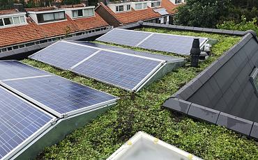 Gründach mit Sonnenkollektoren? Perfekt!