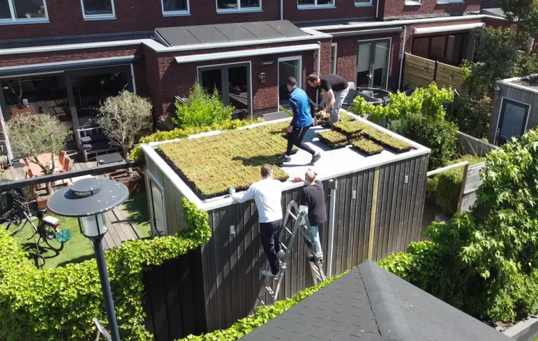 Nachbarschaftsprojekt – Hillegom Ringoevers